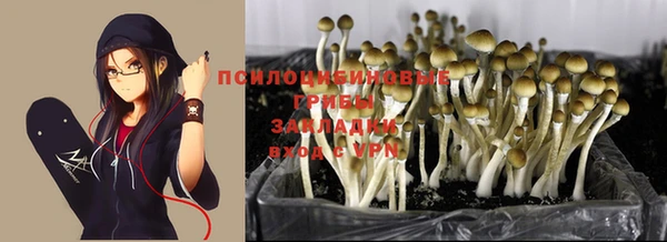 дурь Балабаново