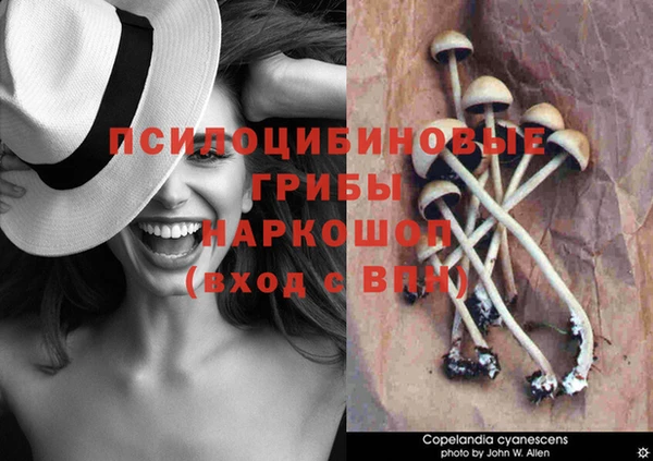дурь Балабаново